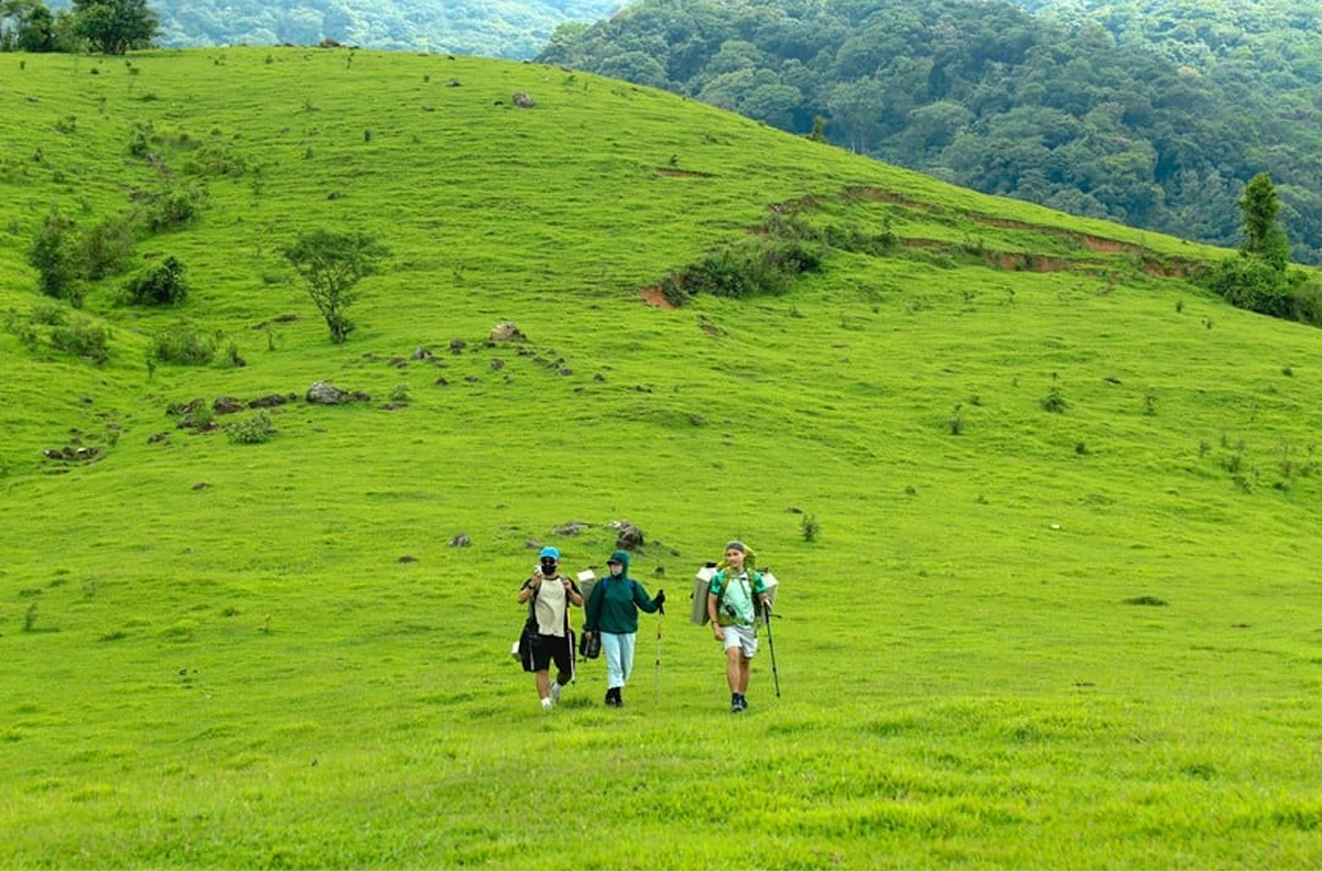 Đồi cỏ Xa Reng địa điểm trekking tại Quảng Trị sau sáp nhập