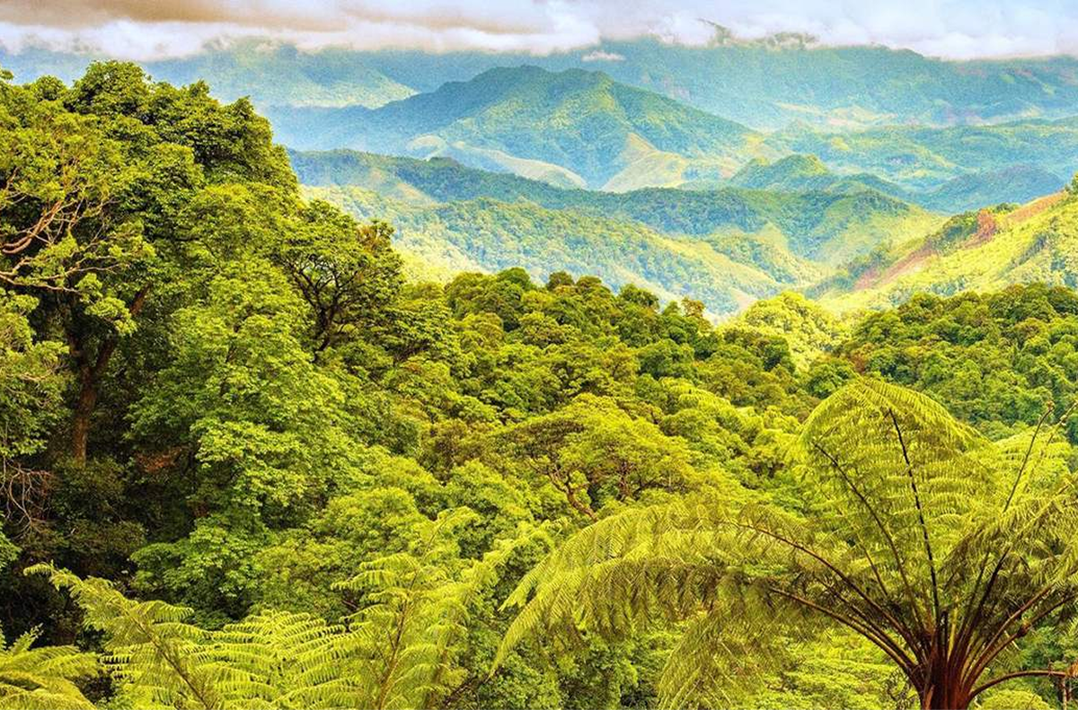 Trekking Rừng Động Châu – Hành Trình Khám Phá Thác Tóc Tiên Quảng Bình (Cũ) Đầy Phiêu Lưu 