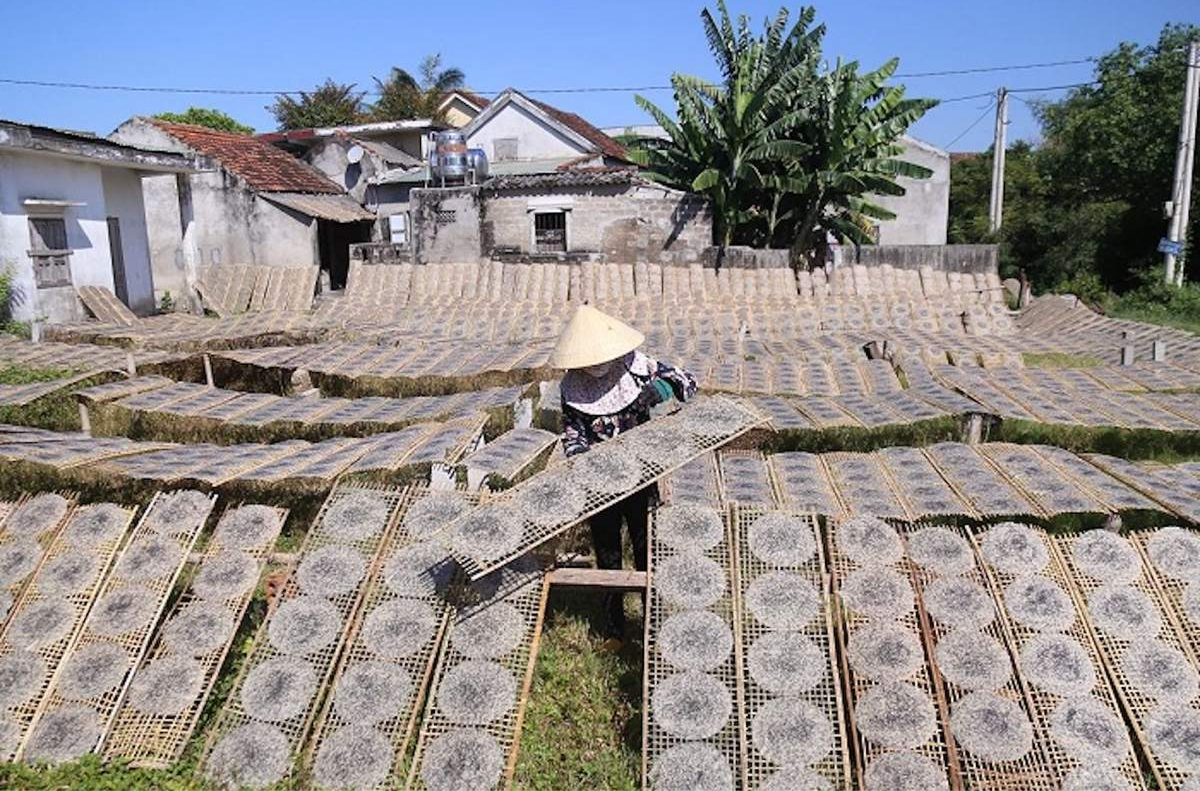 Làng Nghề Bánh Tráng Tân An Các Làng Nghề Truyền Thống Tại Quảng Trị Mới